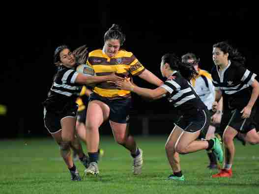 Secondary Schools Rugby Wellington